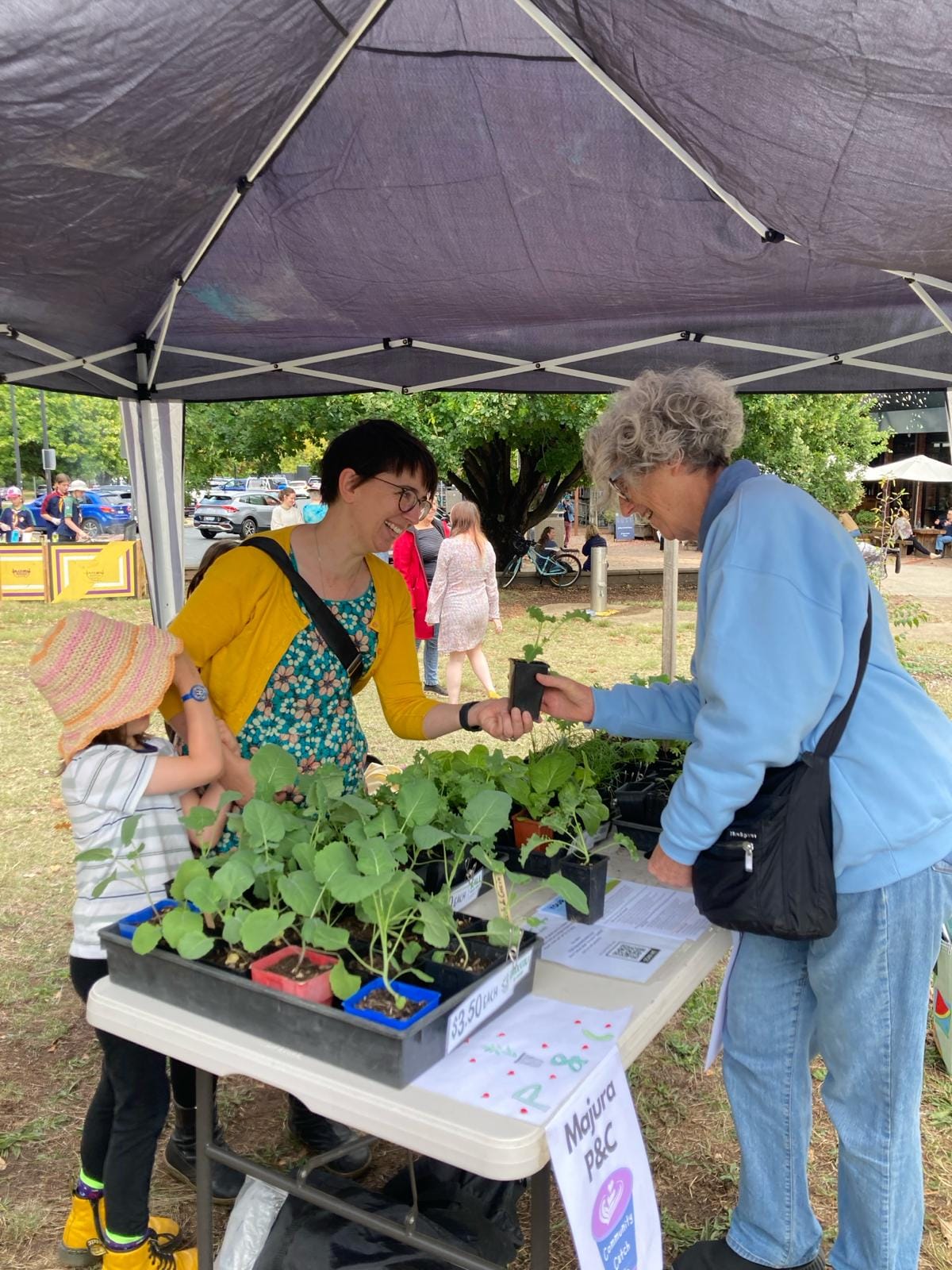 A member of the P&C selling plant seedlings.